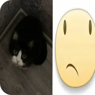 👍 3a4c2e02 kucing, emoji, sedih, hewan peliharaan, kucing tuxedo telegram sticker