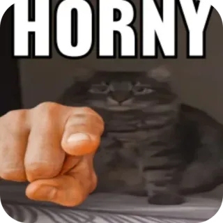 ✋ 4efb4eb5 HORNY kucing, horny, meme, menunjuk, internet, humor telegram sticker