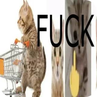 🐱 6f73c216 FUCK anak kucing, keranjang belanja, jari tengah, menyinggung, kucing, humor telegram sticker