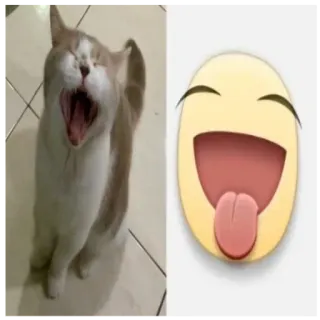 😛 7d90a8ba kucing, menguap, emoji, humor, lucu, meme telegram sticker