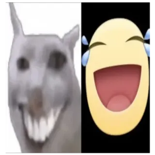 😂 811eb3dc kucing, emoji, tertawa, meme, lucu, humor telegram sticker