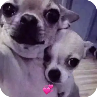 Больше стиков тут: @stikery4 telegram stickers