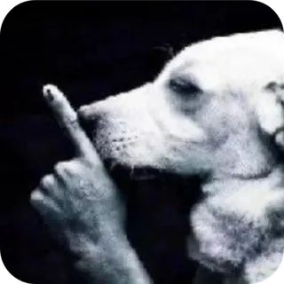 🐶 99ad0e70 anjing, jari tengah, gestur kasar, hewan, menyinggung, hinaan telegram sticker