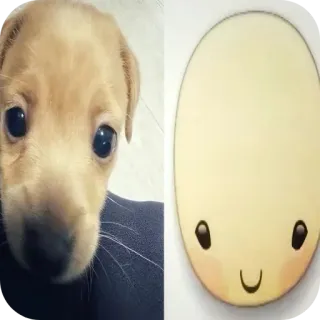 🐶 d63193db anak anjing, anjing, hewan, imut, ilustrasi, kartun telegram sticker