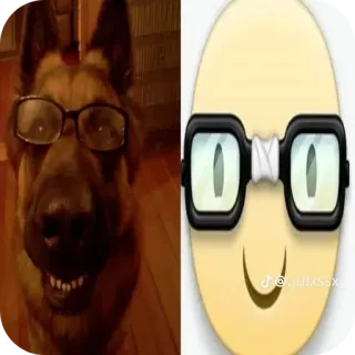 🤓 e2a4c445 anjing, kacamata, emoji, lucu, meme telegram sticker