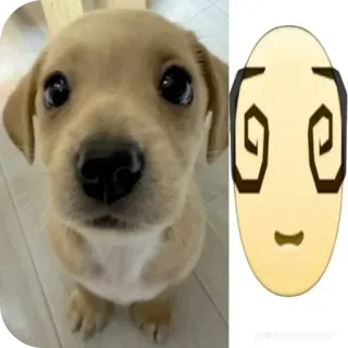 🐶 ecf9c1c2 anjing, anak anjing, emoji, lucu, imut, hewan peliharaan telegram sticker