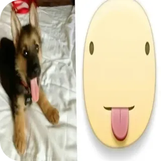 👍 f02a2230 anjing, anjing gembala jerman, hewan, anak anjing, lidah, emoji, hewan peliharaan telegram sticker