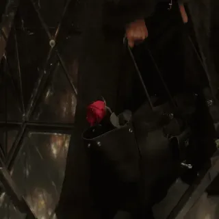 💋 5a9e7997 กุหลาบ, ดอกไม้, กุหลาบแดง, หนัง, สุนทรียศาสตร์มืด, โกธิค, ความรัก, ความรัก telegram sticker