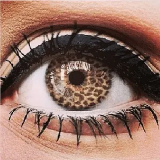 👁️ 65fad63b ตา, ลายเสือดาว, คอนแทคเลนส์, แต่งหน้า, ความงาม, แฟชั่น, ลายสัตว์ telegram sticker