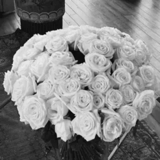 💐 7b6ab166 กุหลาบ, ดอกไม้, ช่อดอกไม้, ลายดอก, กุหลาบขาว, การจัดดอกไม้ telegram sticker