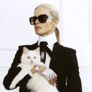 🖤 987be568 แฟชั่น, แมว, คาร์ล ลาเกอร์เฟลด์, ชูเพ็ตต์, สไตล์, แว่นกันแดด, นางแบบ telegram sticker