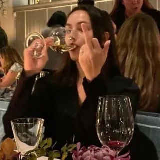 🖕 de81e855 นิ้วกลาง, ท่าทางหยาบคาย, ผู้หญิง, ไวน์, ดื่ม, ร้านอาหาร telegram sticker