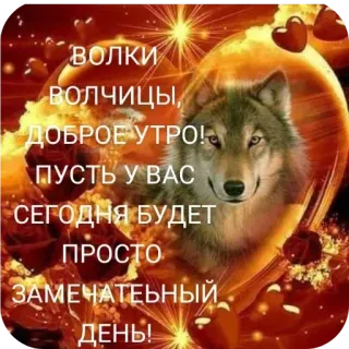🖼 1ae361b3 ВОЛКИ
Волчицы,
ДОБРОЕ УТРО!
ПУСТЬ У ВАС
СЕГОДНЯ БУДЕТ
ПРОСТО
ЗАМЕЧАТЕЬНЫЙ
ДЕНЬ! loup, loups, bonjour, animaux, salutations telegram sticker