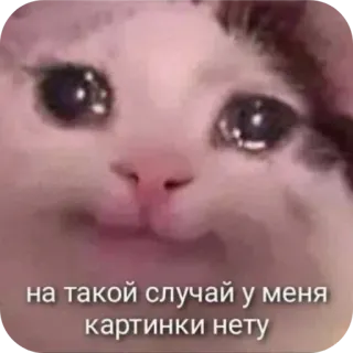 🤲 24b272d8 на такой случай у меня картинки нету Meme, Chat, Triste, Pleurs, Drôle, Émotionnel telegram sticker