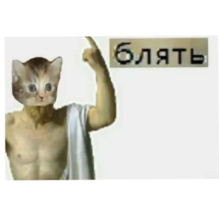🐱 44ea7bb5 блядь chat, mème, offensant, russe, vulgaire, drôle telegram sticker