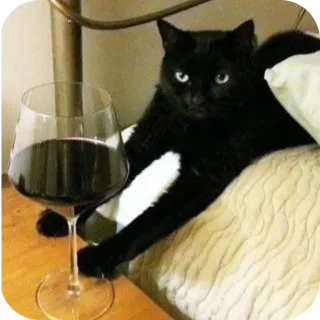 🐱 7bb1b96b chat, vin, verre, animal de compagnie, animal, boisson telegram sticker