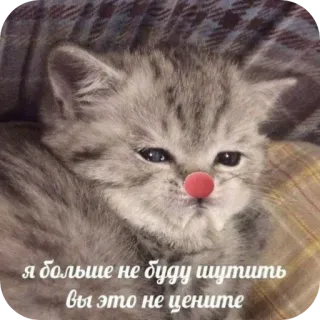 🤡 809095ae я больше не буду шутить
вы это не цените chaton, triste, chat, sticker, texte russe, animal de compagnie telegram sticker