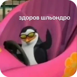 Больше стиков тут: @stikery4 telegram stickers