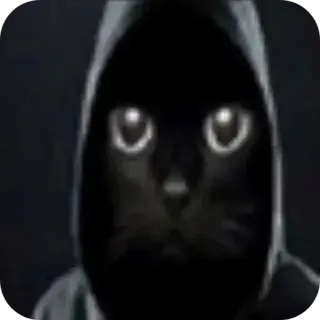 🐱 11180ff0 кот, толстовка, черный кот, животное, мем, глаза telegram sticker