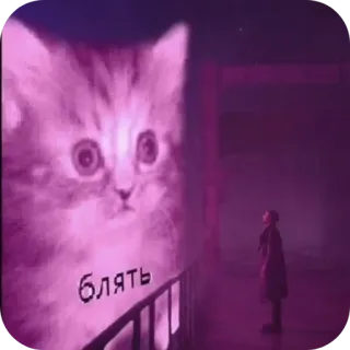 🐱 1e8b9798 Блять кот, котенок, русский мат, текст, киса telegram sticker