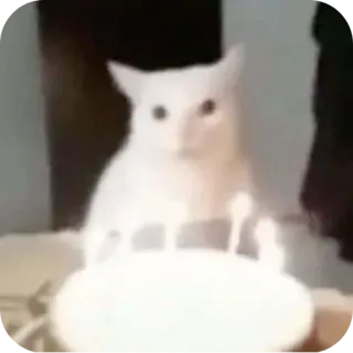 🐱 8db84621 кот, день рождения, торт, животное telegram sticker