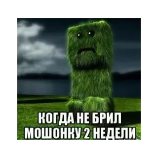 🌲 d4c36597 КОГДА НЕ БРИЛ МОШОНКУ 2 НЕДЕЛИ Крипер, Майнкрафт, Русский, Мем, Юмор, Видеоигра telegram sticker