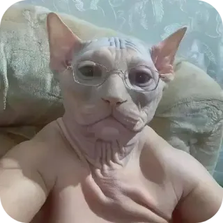 Больше стиков тут: @stikery4 telegram stickers