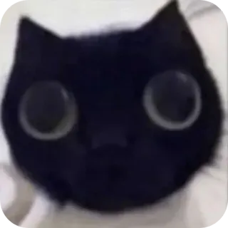 🌟 255681ab gato, animal, gato negro, lindo, mascota, gatito telegram sticker