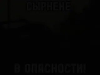 🌟 2c578189 СЫРЕНЕ
В ОПАСНОСТИ! siren, danger, warning, russian, alert whatsapp sticker