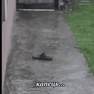 🌟 47189000 капец... shoe, rain, Russian, pavement, outside, footwear whatsapp sticker