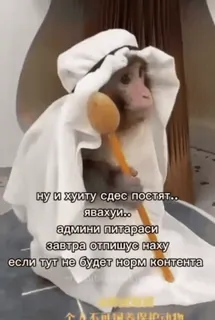 🌟 5f9b1780 ну и хуиту сдес постят...
явахуй..
админи питараси
завтра отпишус наху
если тут не будет норм контента monkey, clothing, animal, text, offensive, Russian whatsapp sticker