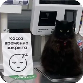 😡 4a2501a7 Касса временно закрыта кот, закрыто, знак, русский, отдых, сонный telegram sticker