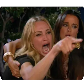 😿 7d40230c женщина, кричит, кот, мем, указывает, злая, спорить, драка telegram sticker