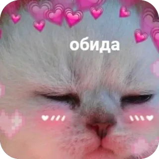 😔 8893386d обида кот, наклейка, сердечки, милый, мем, грустный telegram sticker
