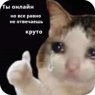 😤 95790fbd Ты онлайн но все равно не отвечаешь круто кот, плачет, онлайн, мем, русский, разочарование, палец вверх telegram sticker