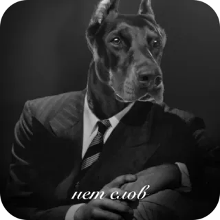 🫥 d4adfaf9 нет слов dog, suit, portrait, funny, animal, russian telegram sticker