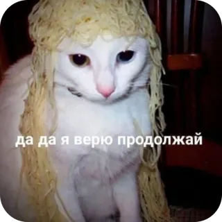 🤪 67e9c188 да да я верю продолжай gatto, pasta, divertente, animale, meme whatsapp sticker
