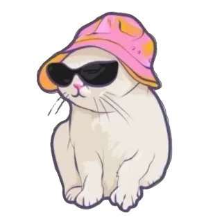 😎 7e35a56d gatto, occhiali da sole, cappello, animale, carino whatsapp sticker