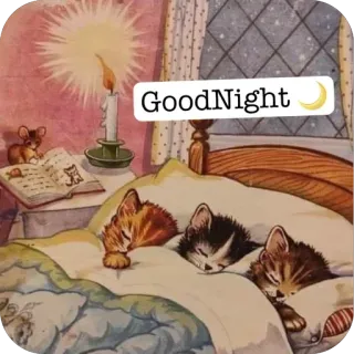 🌙 7ee1f355 GoodNight gatti, dormire, buonanotte, carino, animali, luna whatsapp sticker