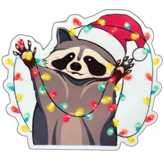 🦝 a0492088 procione, natale, luci, vacanze, cappello da Babbo Natale, carino, animale whatsapp sticker