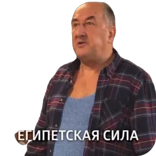 🥸 cad7a618 ЕГИПЕТСКАЯ СИЛА whatsapp sticker