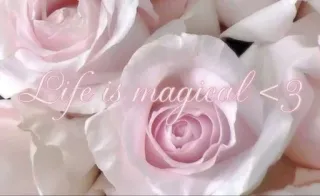 🌟 a9e8a0de Life is magical <3 roses, fleurs, vie, magique, floral, rose, mignon whatsapp sticker