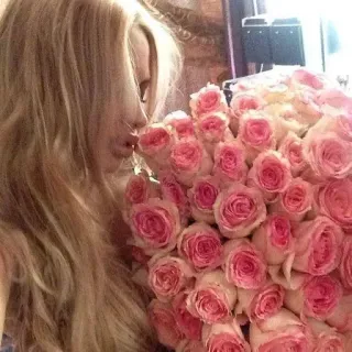 🩷 e4eaa7b5 femme, fleurs, roses, bouquet, roses roses, blonde, beauté, romance, célébration whatsapp sticker