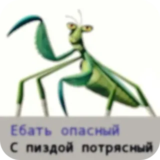 ❤ 09c3583c Ебать опасный
С пиздой потрясный belalang sentadu, serangga, menyinggung, rusia, bahasa gaul telegram sticker