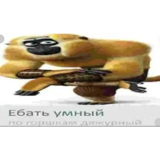 🥸 cde43cb6 Ебать умный по горшкам дежурный monyet, ofensif, humor, meme telegram sticker