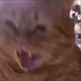 🤩 ae5e7511 whatsapp sticker