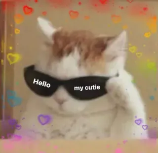 😎 83dec761 Hello my cutie cat, sunglasses, hearts, cute, pet, animal telegram sticker