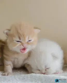 Больше стиков тут: @stikery4 whatsapp stickers