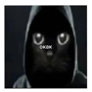 😶 f6014226 окак gato, sudadera con capucha, oscuro, ojos, meme telegram sticker