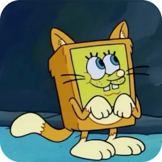 😸 b34339c5 Spongebob Bob Esponja, dibujos animados, cuadrado, gato, animal, divertido, amarillo whatsapp sticker